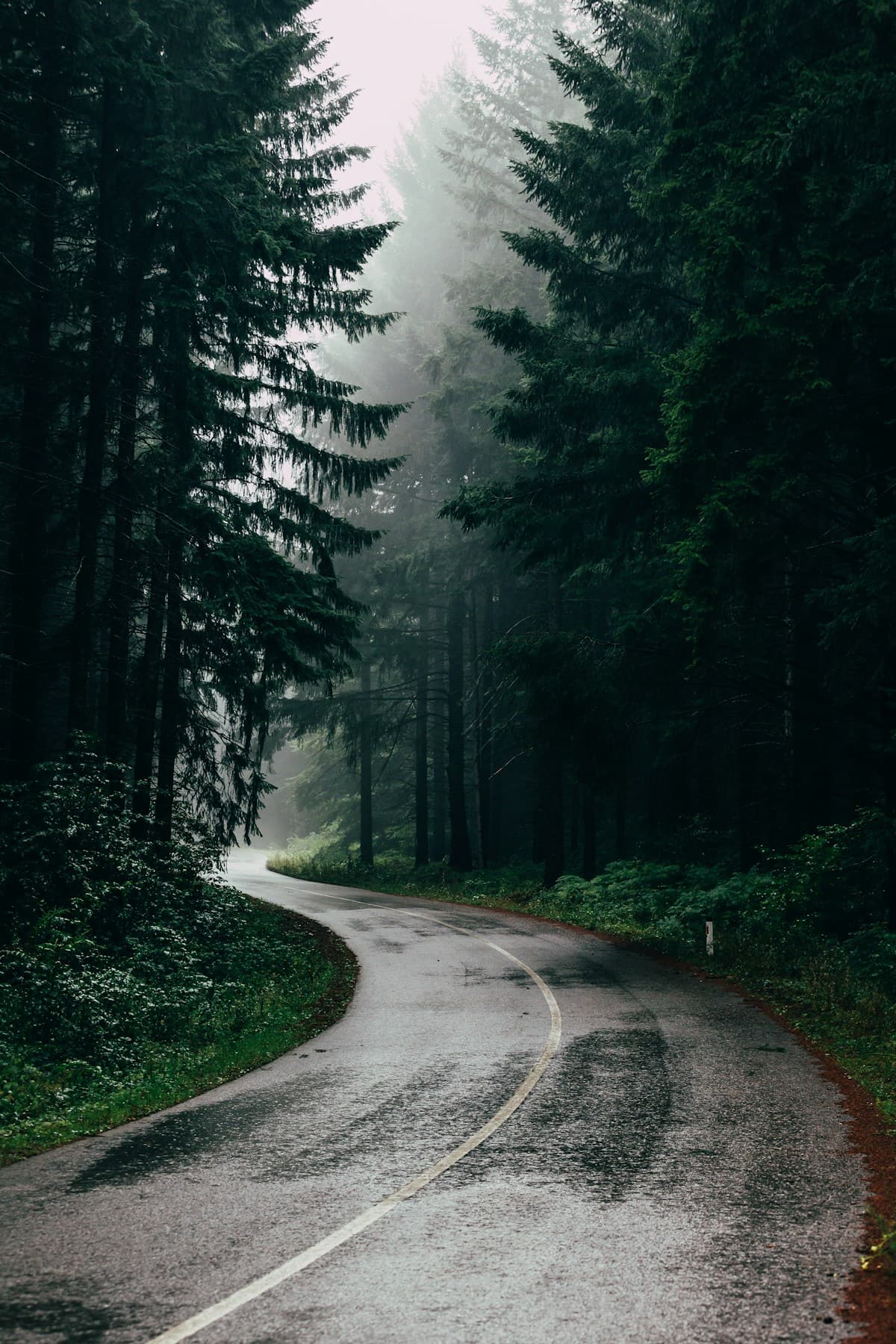 After rain